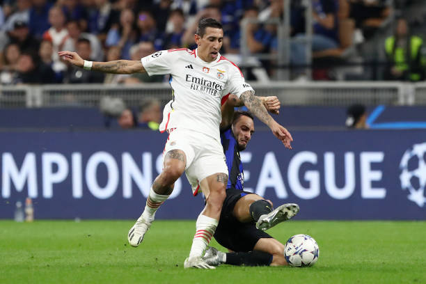 他们能提供 他们能提供